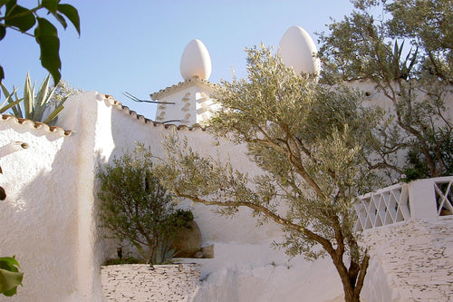 Mediterranean Odyssey: Portlligat - Octaevo