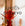 Sant Jordi: Quiet Bloom - Octaevo