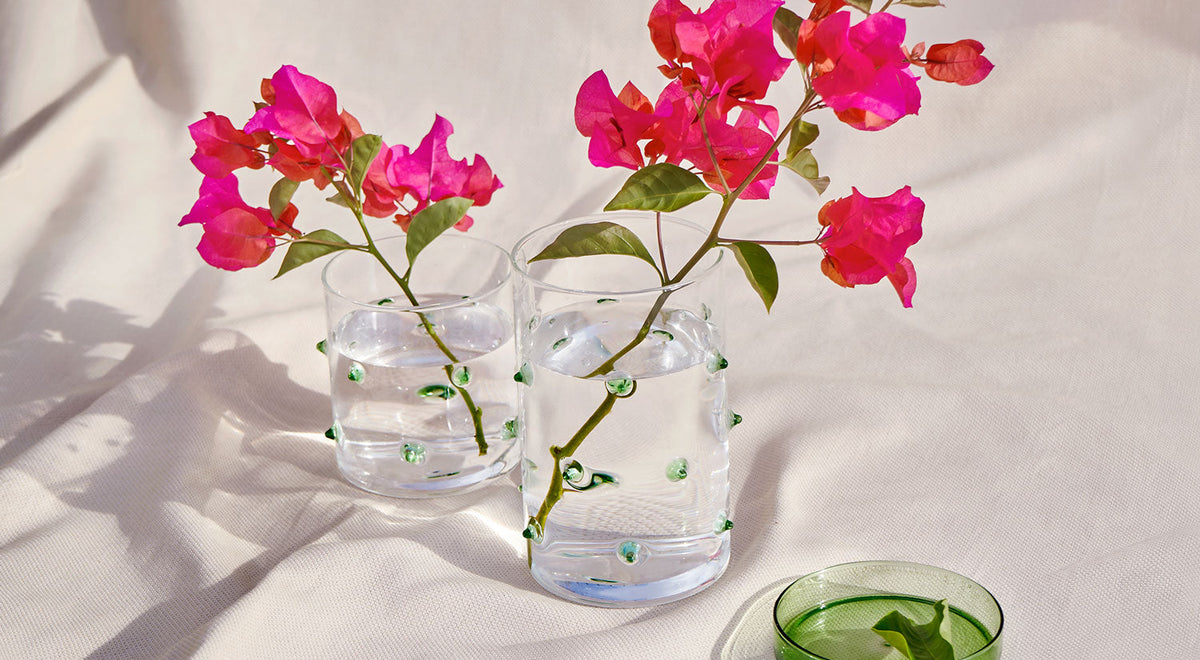 Agave Glass Container - Octaevo