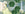 A wine glass on a green leaf coaster sits beside a plum and a fruit stand, and a twisted trivet on a beige tablecloth