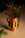 The Octaevo Patio Mini Paper Vase holds green foliage and red berries on a beige table with a dark backdrop.