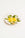 Fruit du Jour Plate Apple - Octaevo