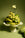A still life arrangement of green grapes, bananas, and a lime on a mint OCTAEVO Templo High Tray against a muted green background, with a small pale flower above the fruit.