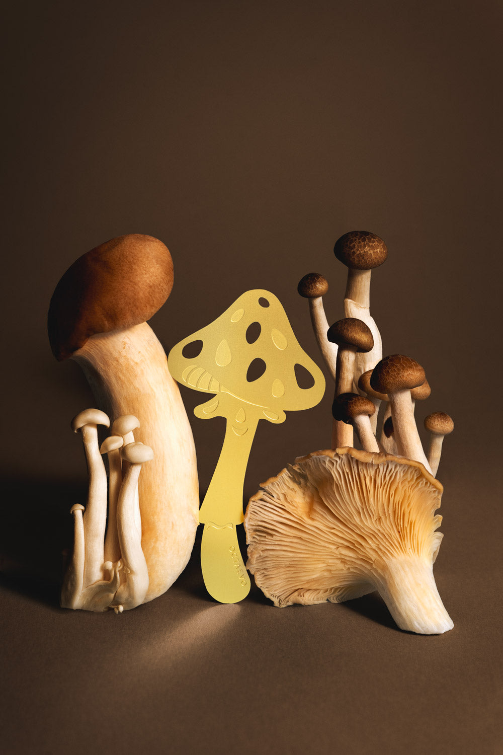 A styled still life of various mushrooms on a dark brown background, featuring a large brown-capped mushroom, a cluster of shiitake mushrooms, a large oyster mushroom, and a central yellow decorative mushroom cutout.