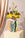 Fish Mini Paper Vase - Octaevo