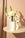 Swan Mini Paper Vase - Octaevo