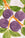 Hand-painted plums accent the Octaevo Fruit du Jour Plate with green leaves and orange branches on a white base.