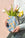 Picnic Mini Paper Vase - Octaevo