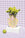 Picnic Paper Vase - Octaevo