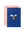 Two Octaevo Apollo Notes A6 notebooks with gold design and lay-flat binding, stacked on a green background.