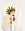 The OCTAEVO Bazaar Paper Vase with a pink flower and green leaves sits on a white pedestal against cream draped fabric.