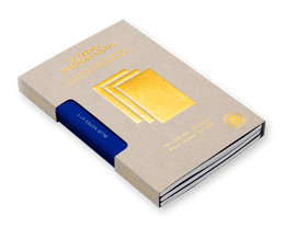 Blue Passport Notes Box of 3