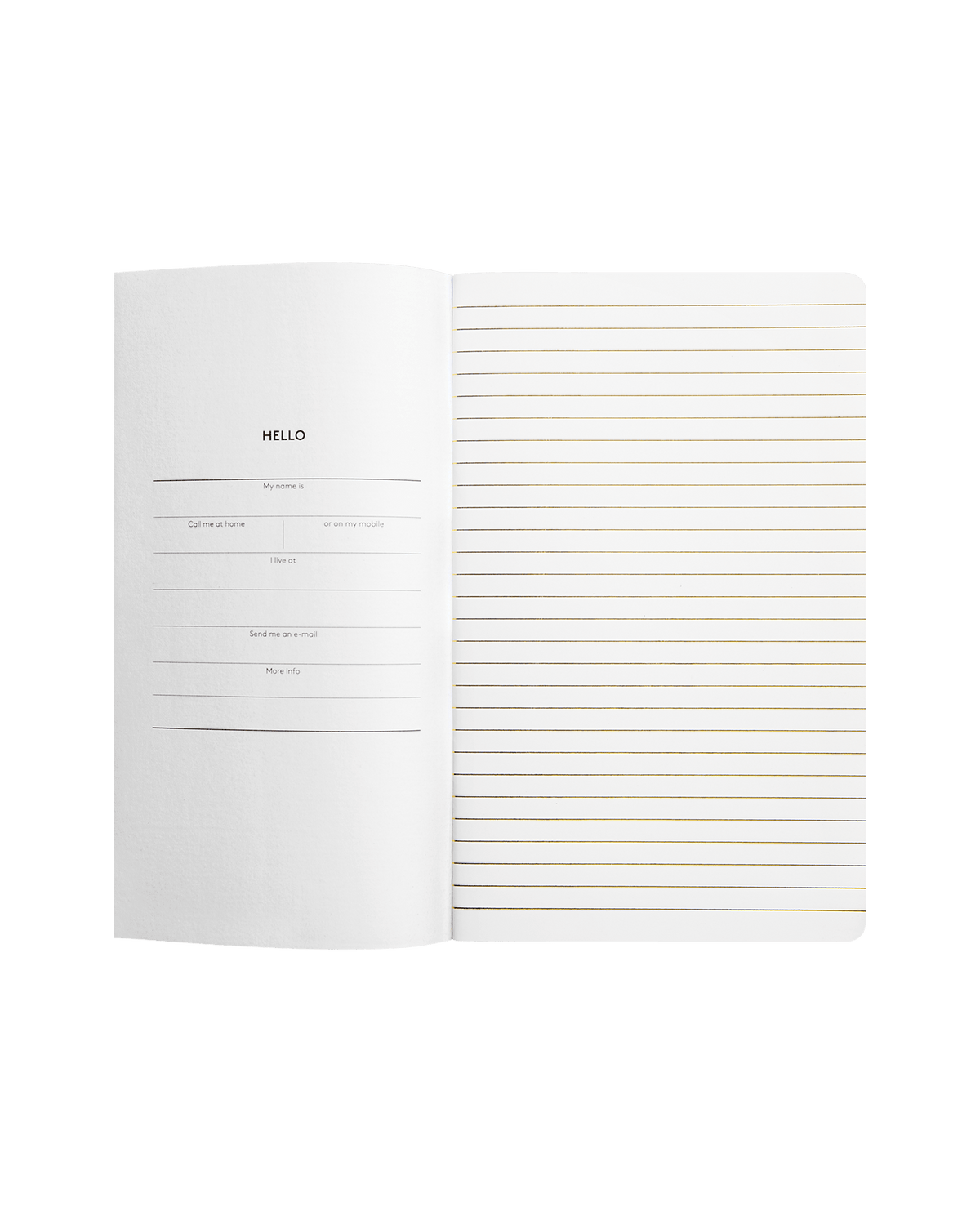 Open mint OCTAEVO Classic Notes notebook, featuring lined pages and a fill-in intro—an ideal luxury gift.