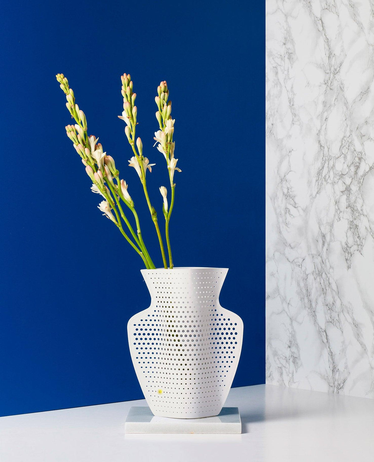 Die Cyano Papiervase von OCTAEVO mit hohen weißen Blumen steht vor einem blauen und marmoriert gemusterten Hintergrund.