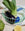Iris Wire Basket by Octaevo in mint