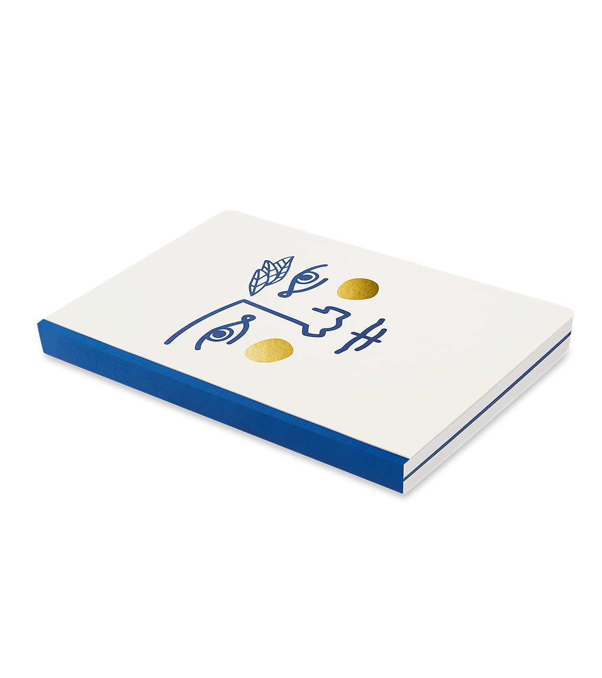 A closed Octaevo Janus Notes A6 notebook with a blue spine and abstract design rests on a green surface.