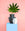 Two Lido Paper Vases by OCTAEVO, black and white, with a green leaf on a blue pedestal against a pink background.