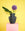 The black Lido Paper Vase by OCTAEVO features a gold grid, displaying a green leaf and purple flower against a yellow wall.