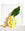 OCTAEVO Nazar Paper Vase in yellow with eye patterns holds a large green leaf, with two lemons nearby.
