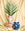 Hamsa Paper Vase by Octaevo in pink